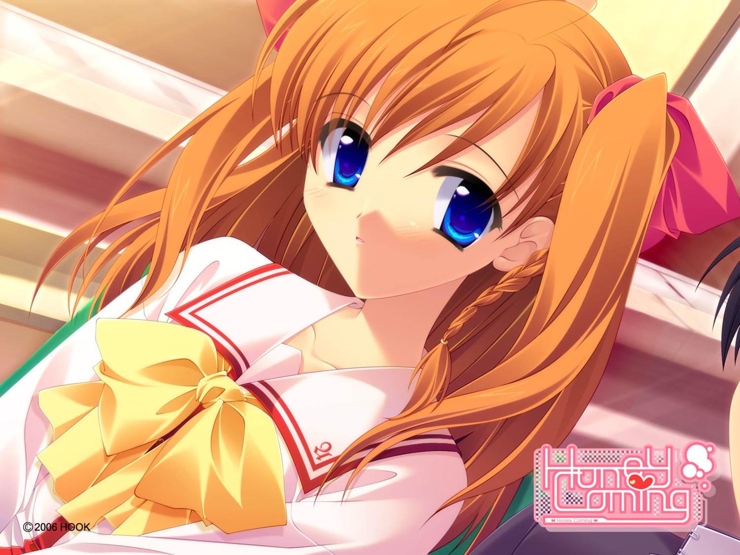 honey_coming, hook, kamijou_asahi, matsushita_makako, wallpaper
