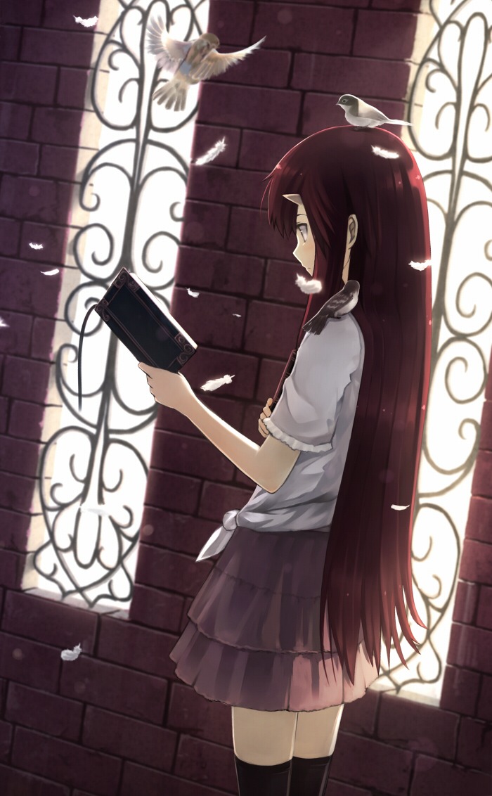 ochau, thighhighs