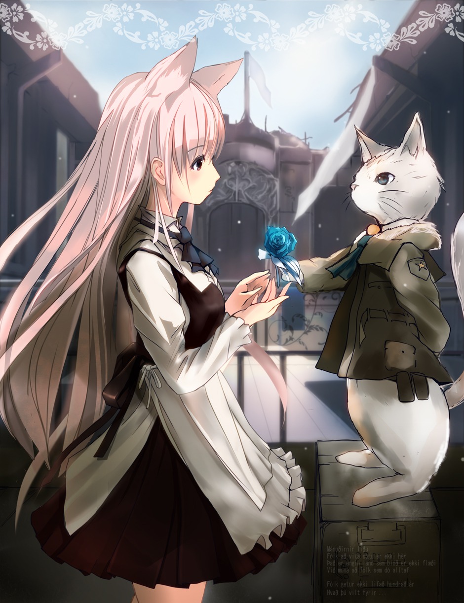 animal_ears, h016, neko