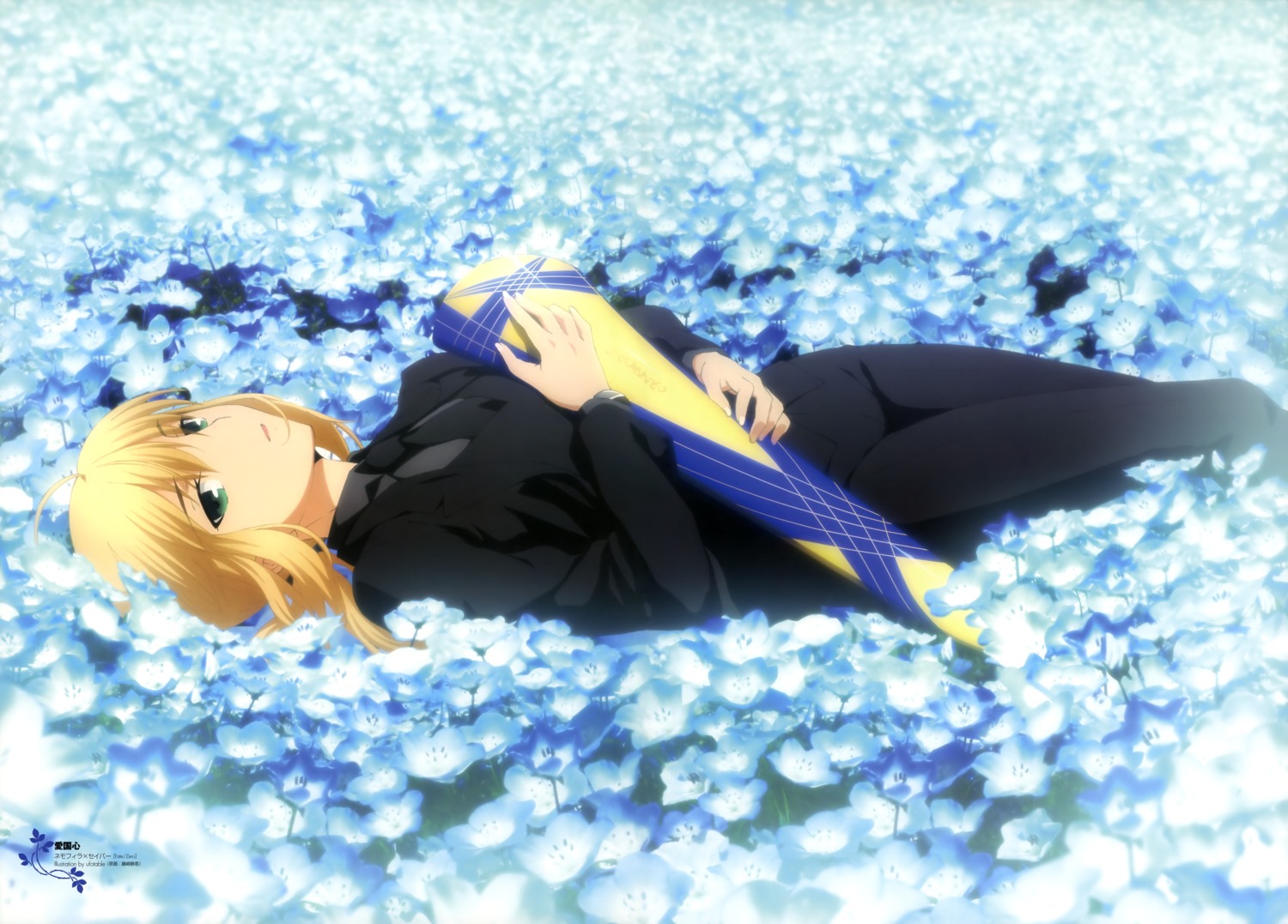 artoria_pendragon_(fate), fate/stay_night, fate/zero, fujisaki_shizuka, type-moon