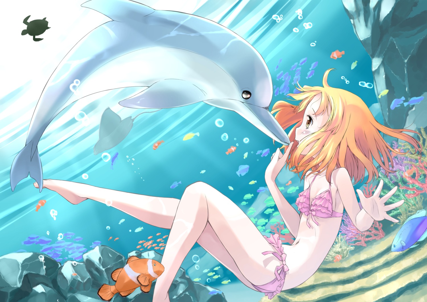 bikini, nomi, swimsuits