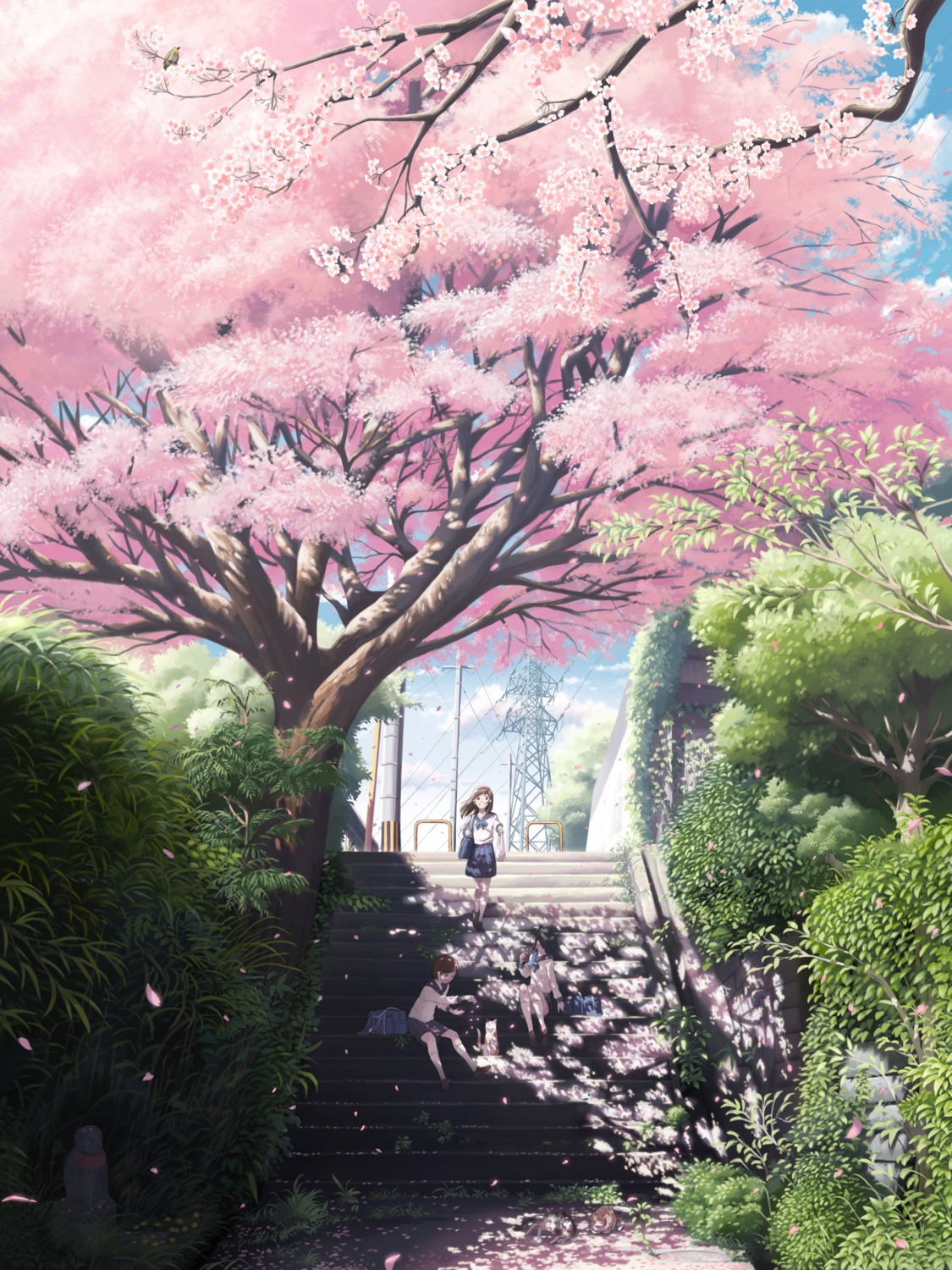 inoki-08, landscape, neko, seifuku