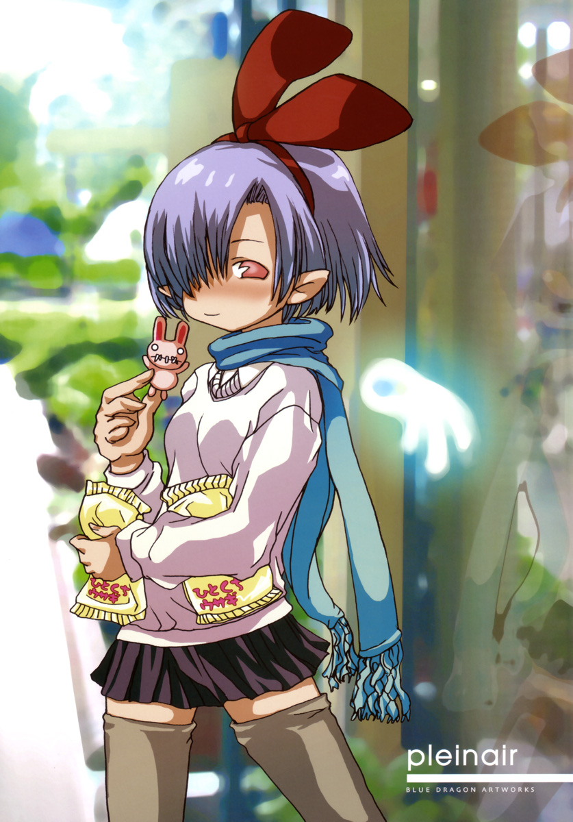 disgaea, pleinair, seiryuu
