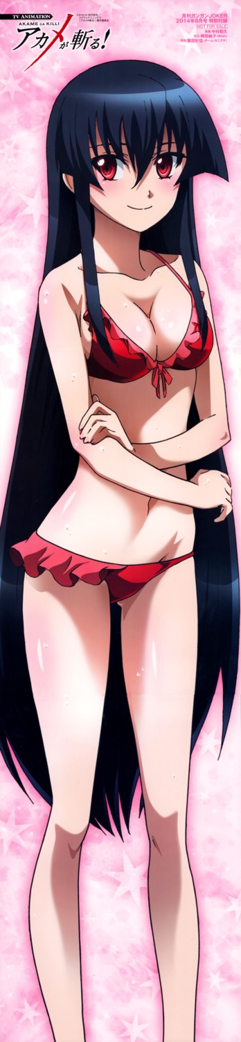 akame, akame_ga_kill!, bikini, cleavage, nakamura_kazuhisa, swimsuits