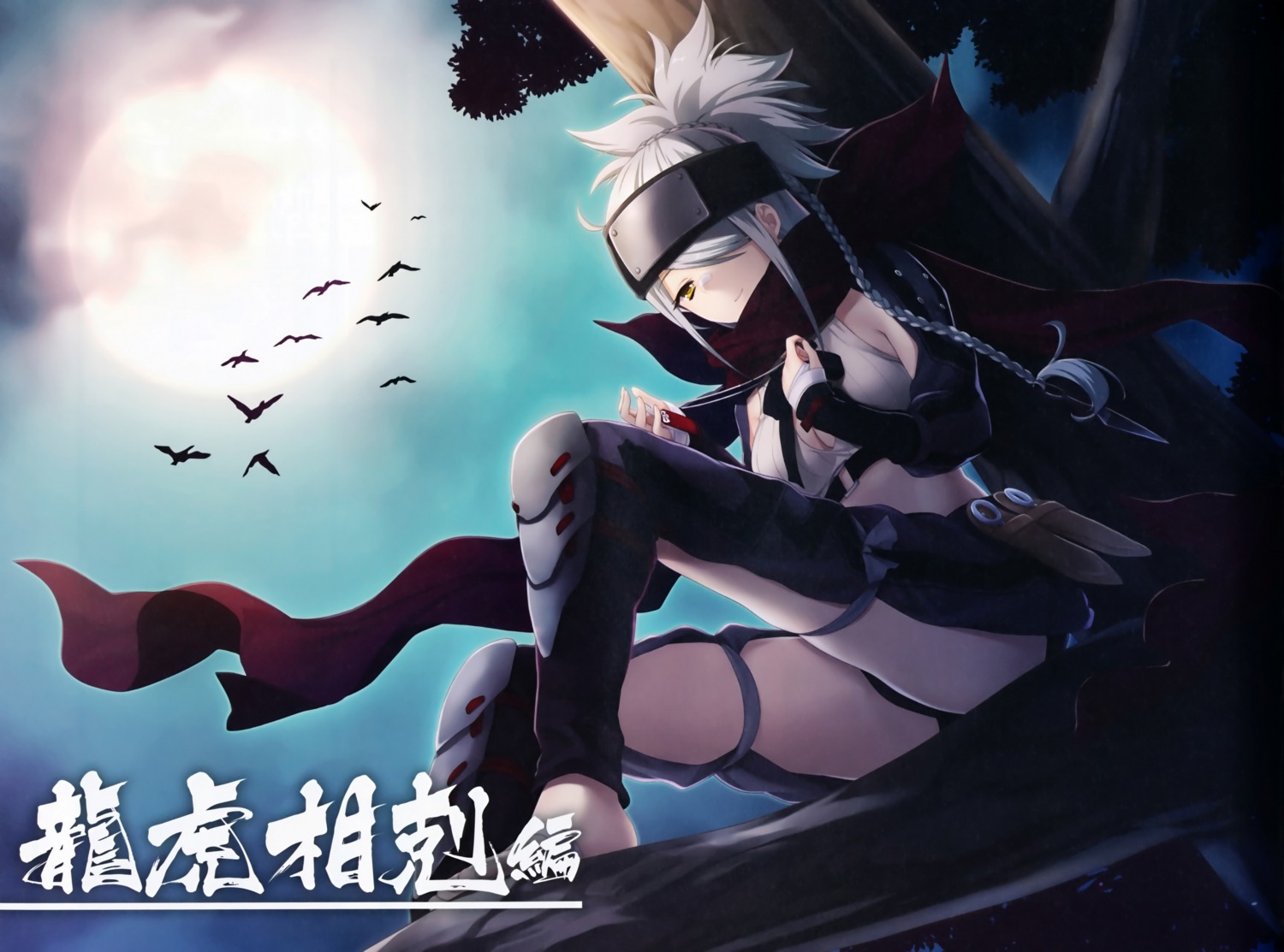 hattori_hanzo_konami_masashige, natsuhiko, ninja, sengoku_koihime