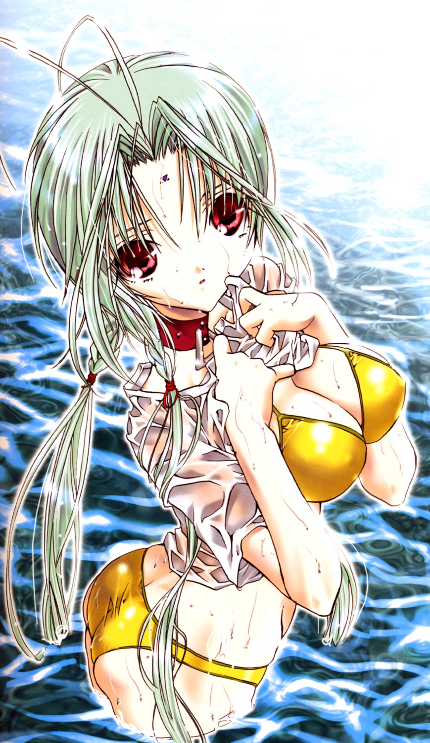 bikini, cleavage, dears, ren_(dears), see_through, shirt_lift, swimsuits, wet
