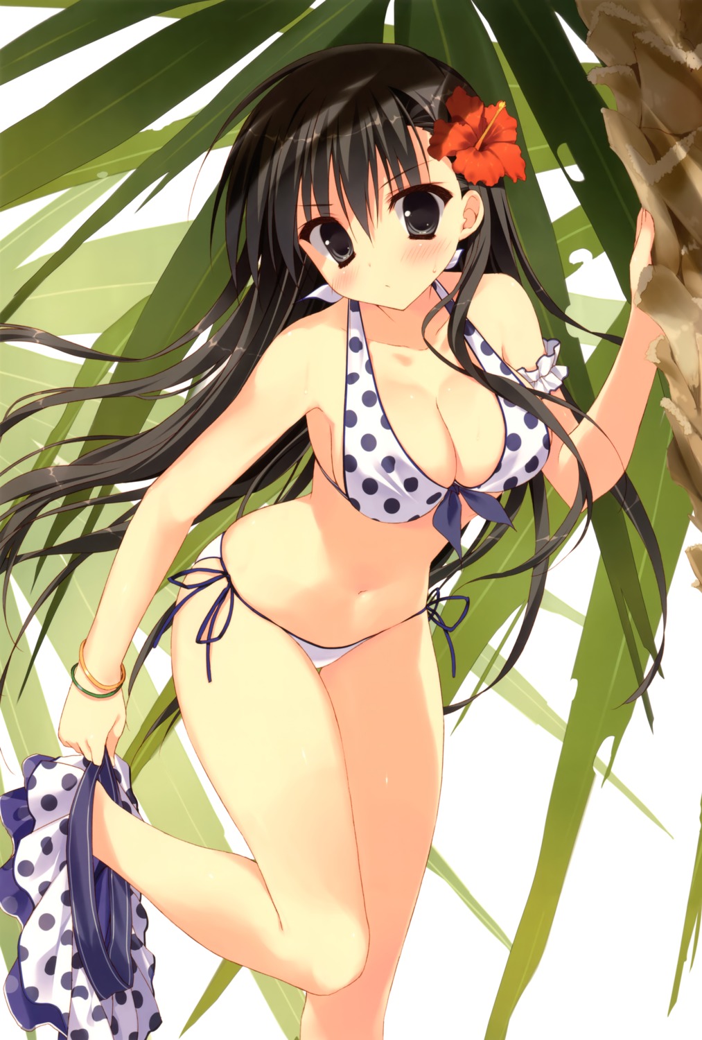 akiyoshi_fuyuka, bikini, cleavage, feng, kanojo_no_seiiki, ryohka, seiiki, swimsuits