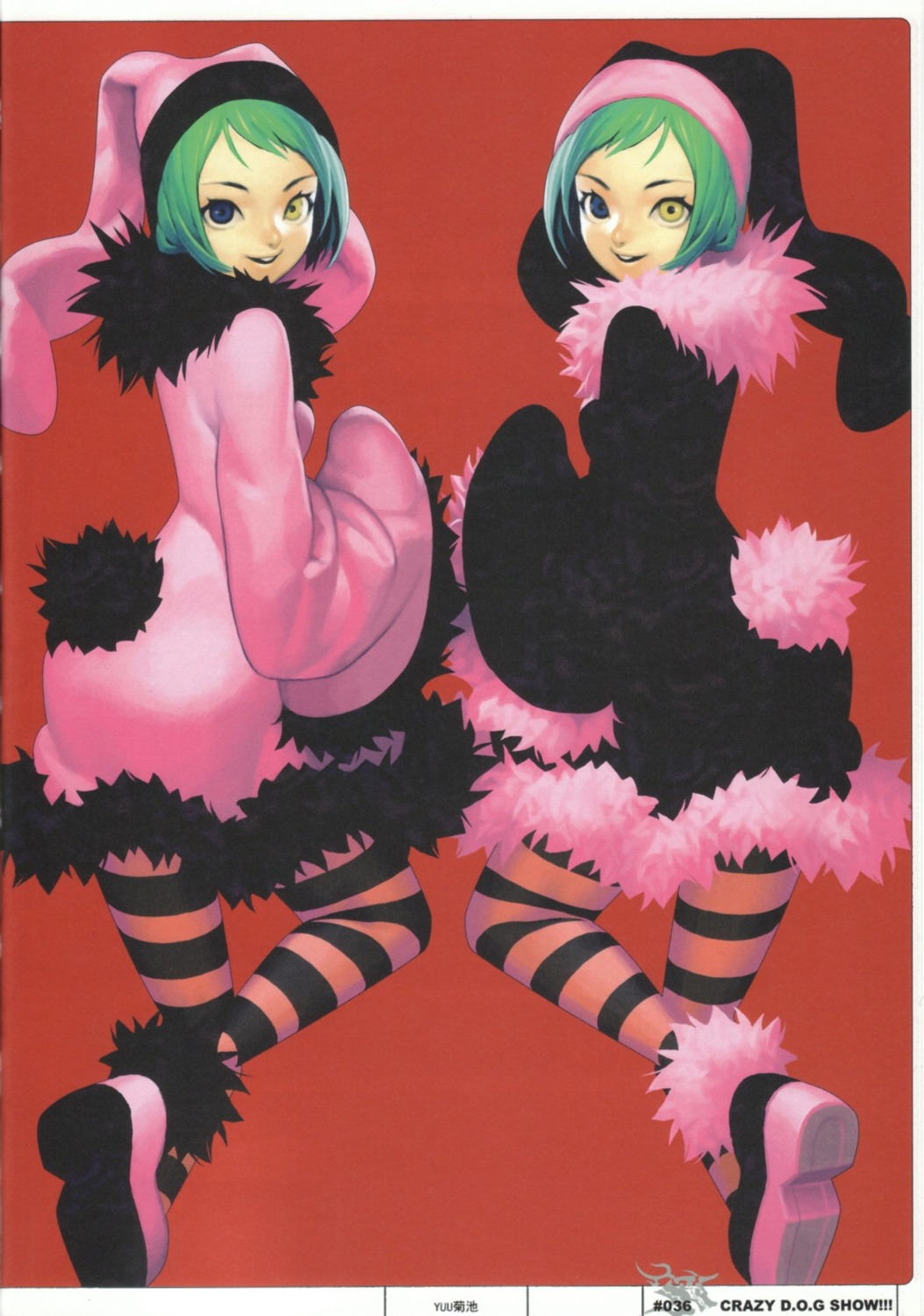 dogs, heterochromia, luki, noki