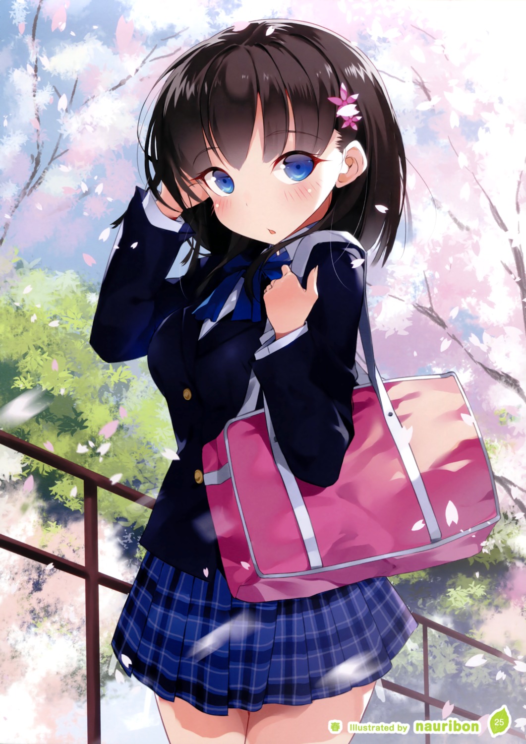 nauribon, seifuku