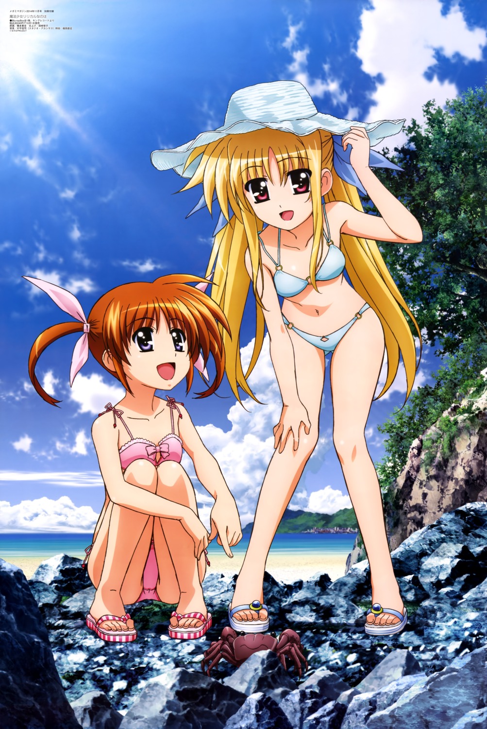 bikini, fate_testarossa, hashimoto_takayoshi, mahou_shoujo_lyrical_nanoha, swimsuits, takamachi_nanoha