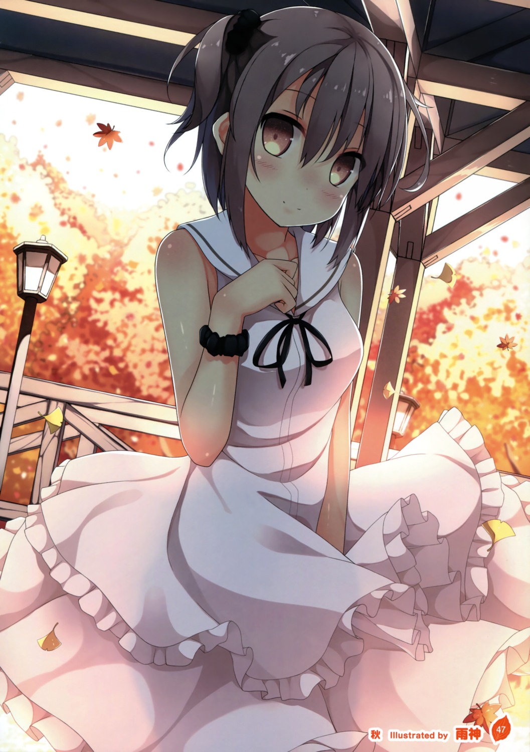 dress, samegami