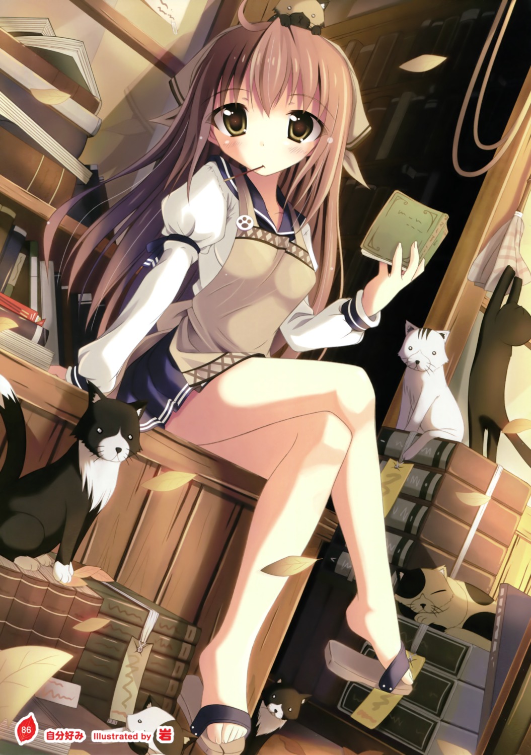 iwa, neko, seifuku