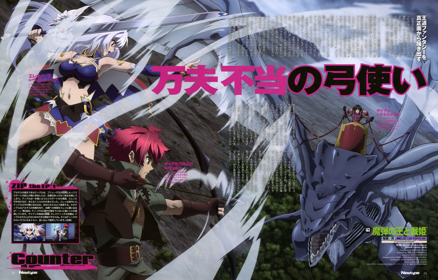 armor, cleavage, eleonora_viltaria, madan_no_ou_to_vanadis, sword, taiga_hiroyuki, tigrevurmud_vorn, weapon, zion_thenardier