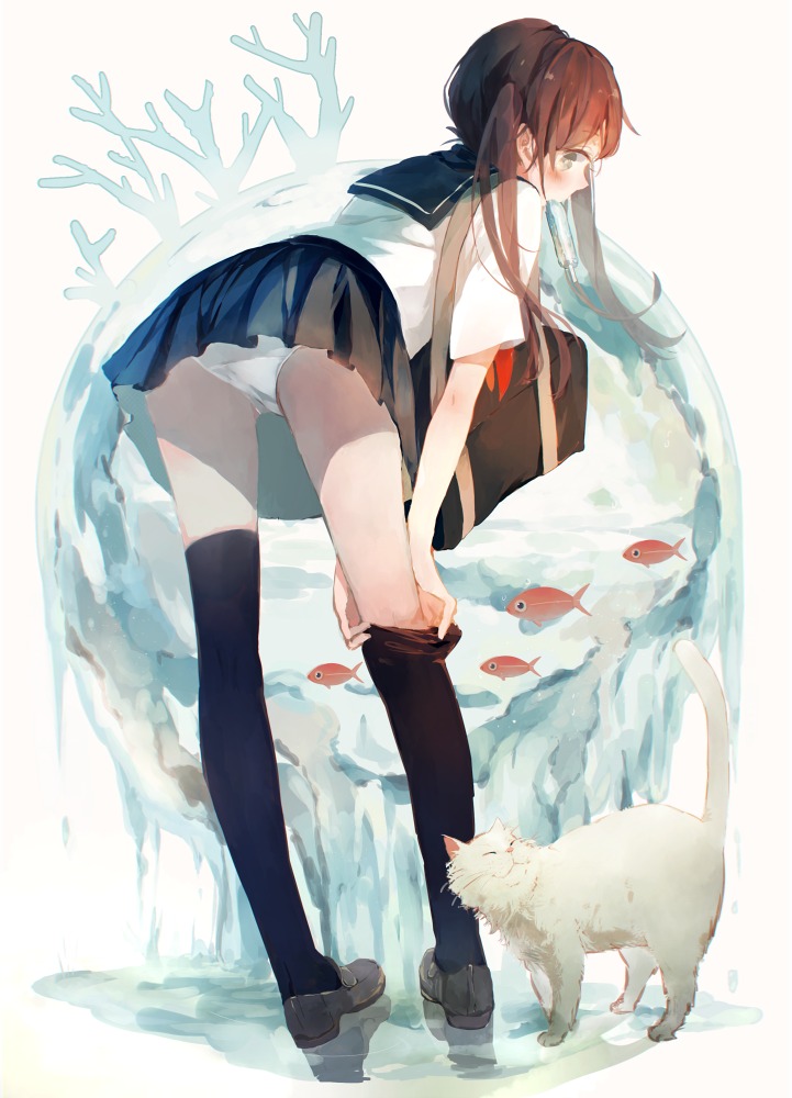 bou_shaku, neko, pantsu, seifuku, thighhighs
