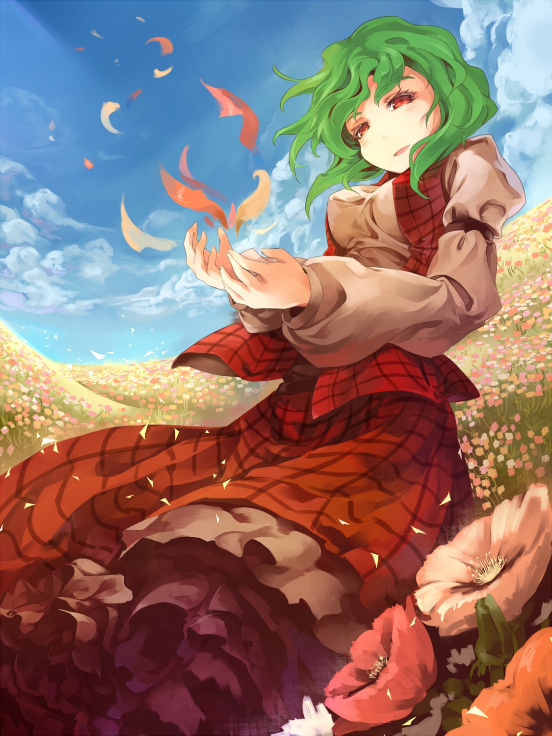 asu_tora, kazami_yuuka, touhou
