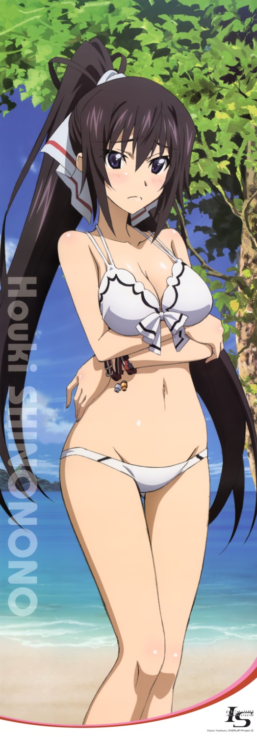 bikini, breast_hold, cleavage, hashimoto_takayoshi, infinite_stratos, shinonono_houki, stick_poster, swimsuits