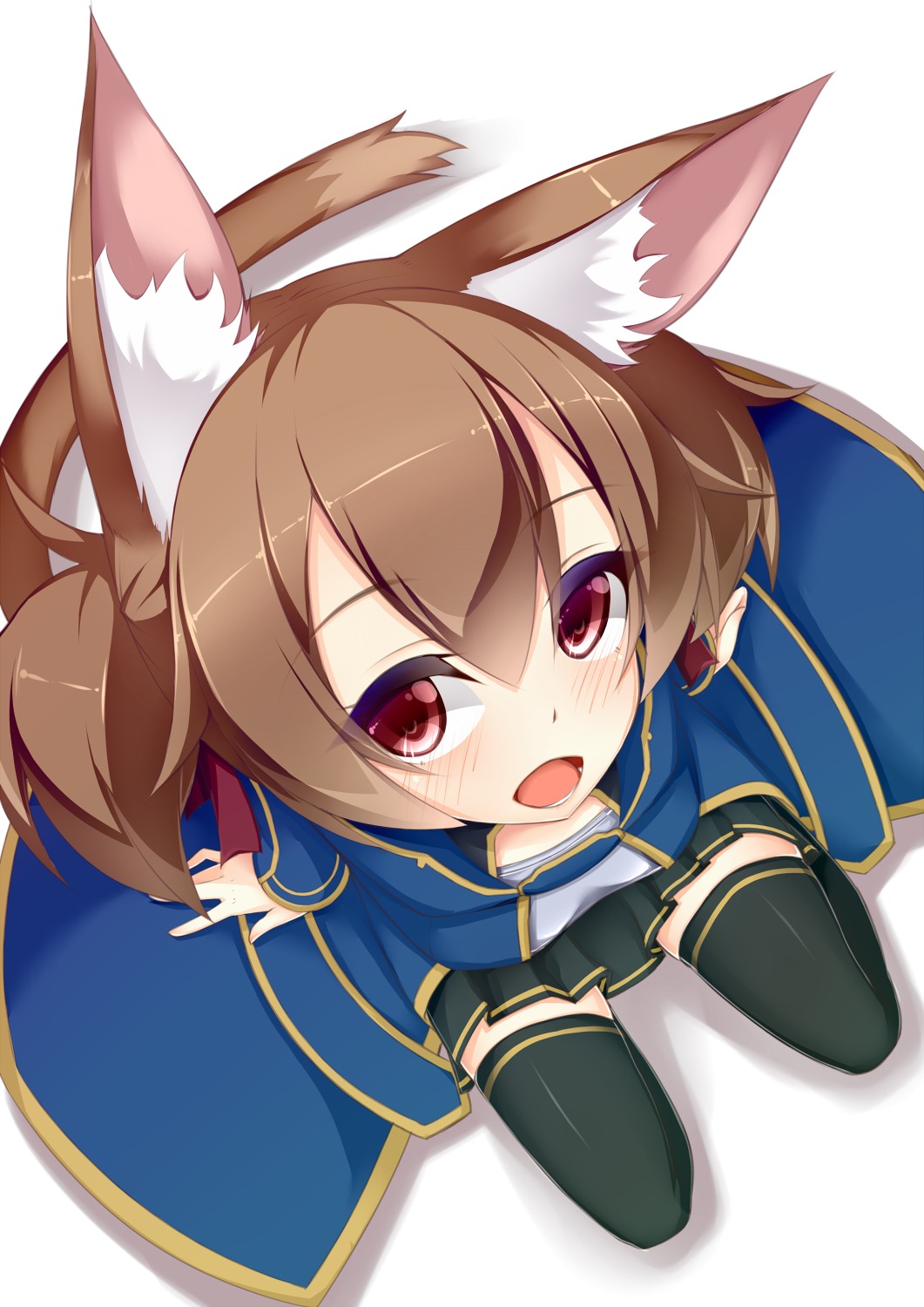 alfheim_online, animal_ears, jougen, nekomimi, silica, sword_art_online, tail, thighhighs