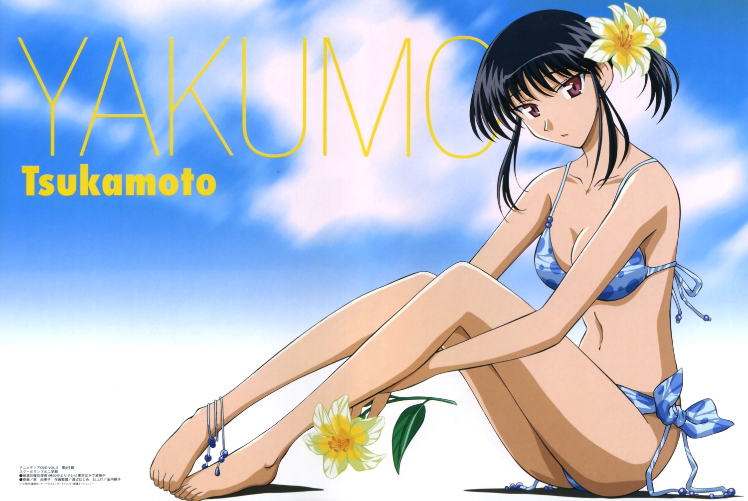 bikini, cleavage, feet, hara_yumiko, school_rumble, swimsuits, tsukamoto_yakumo