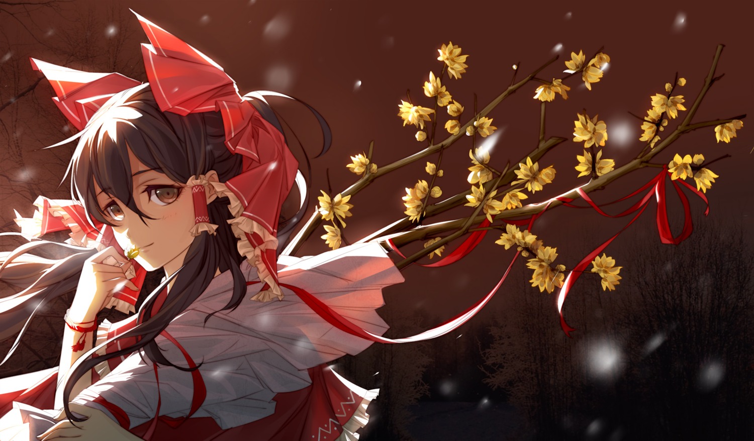 hakurei_reimu, nye, touhou