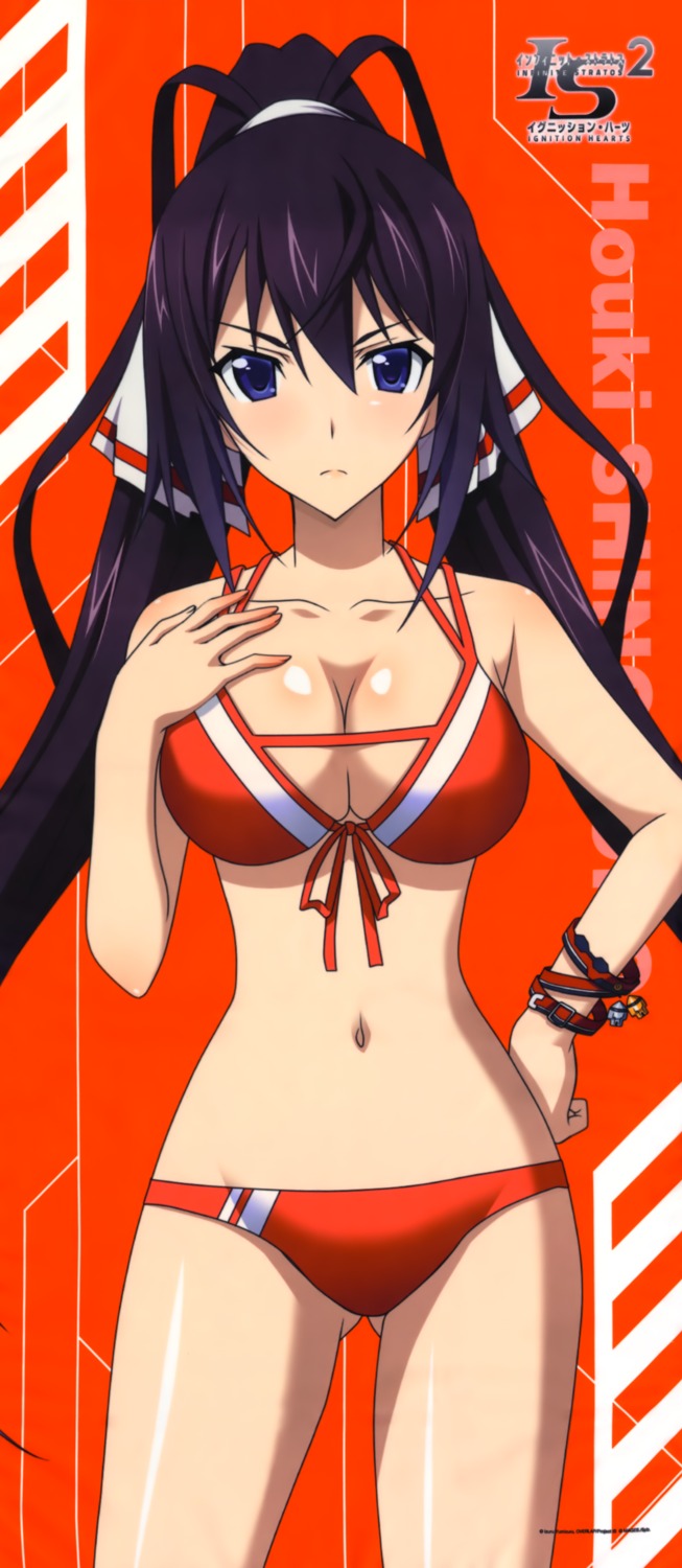 bikini, breast_hold, cleavage, infinite_stratos, infinite_stratos_2, shinonono_houki, swimsuits
