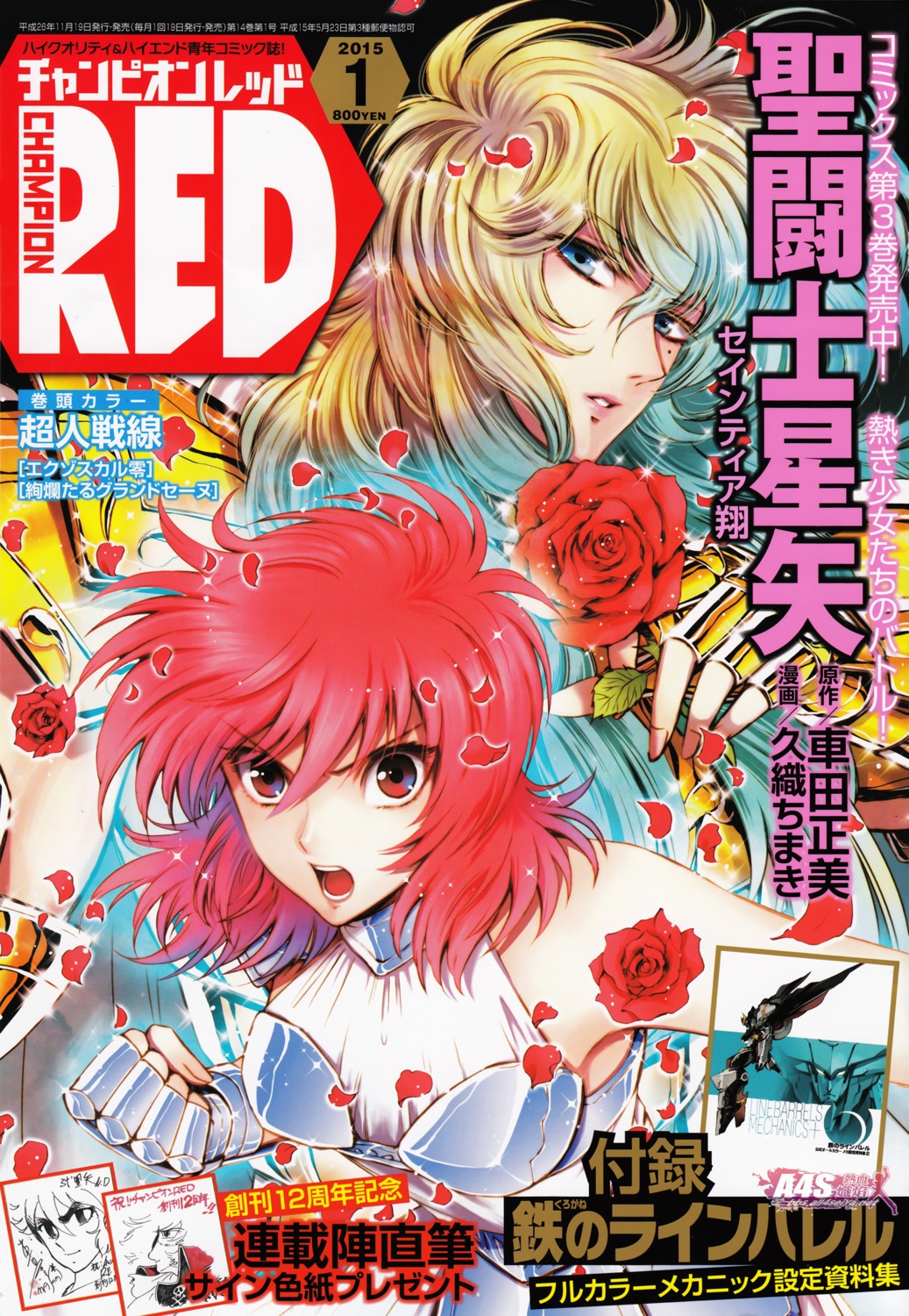 armor, equuleus_no_shou, kuori_chimaki, saint_seiya:_saintia_shou