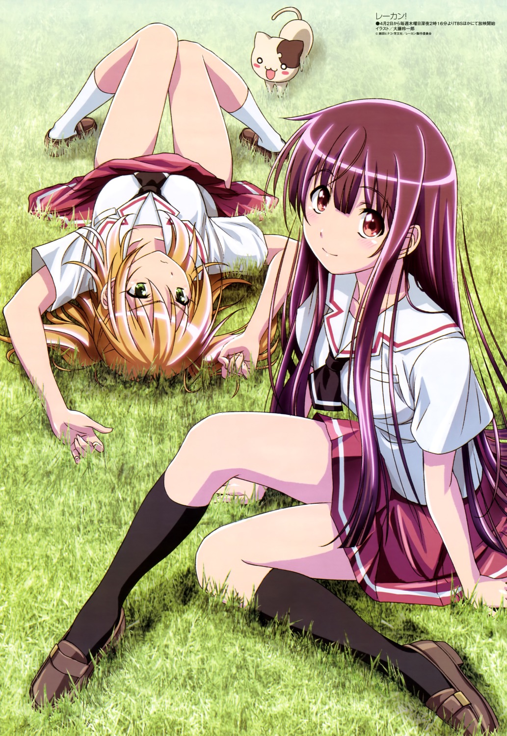 amami_hibiki, inoue_narumi_(re-kan!), neko, oofuji_reiichirou, re-kan!, seifuku