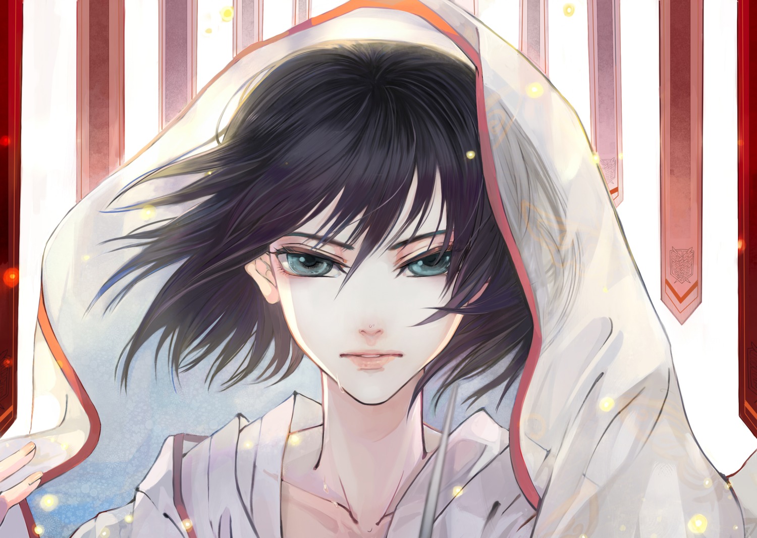 mikasa_ackerman, object_spring, shingeki_no_kyojin