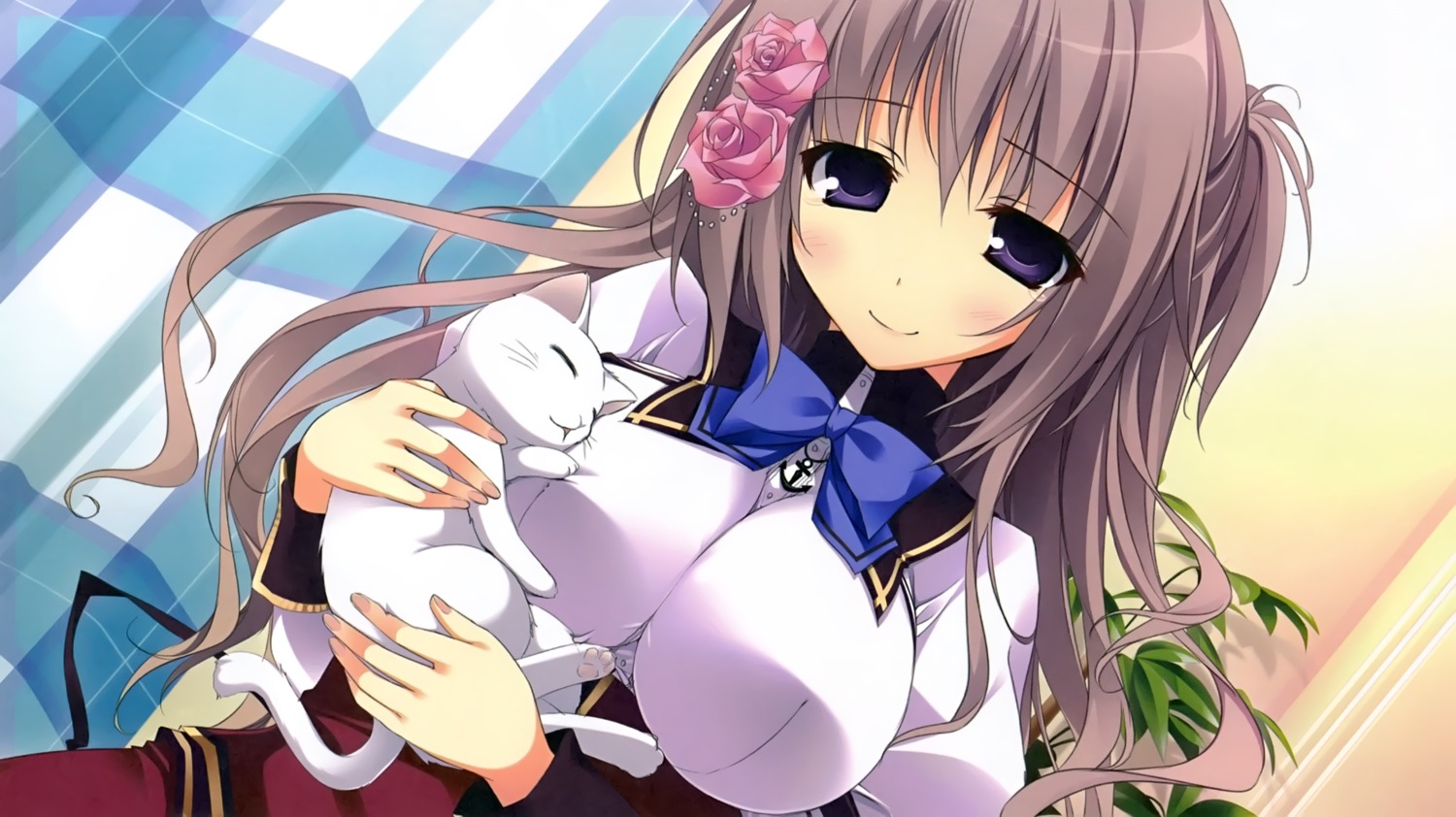 feng, karory, neko, seifuku, tanabata_shiori, yume_to_iro_de_dekiteiru