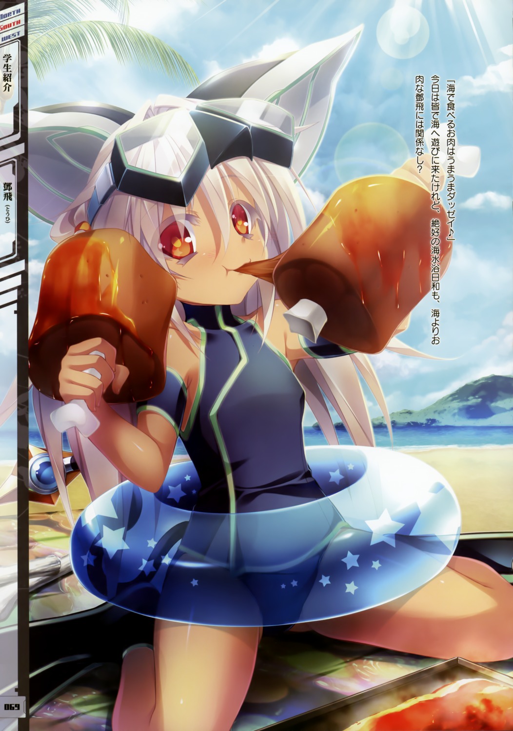 animal_ears, kamitsurugi_ouka, nexton, swimsuits, tail
