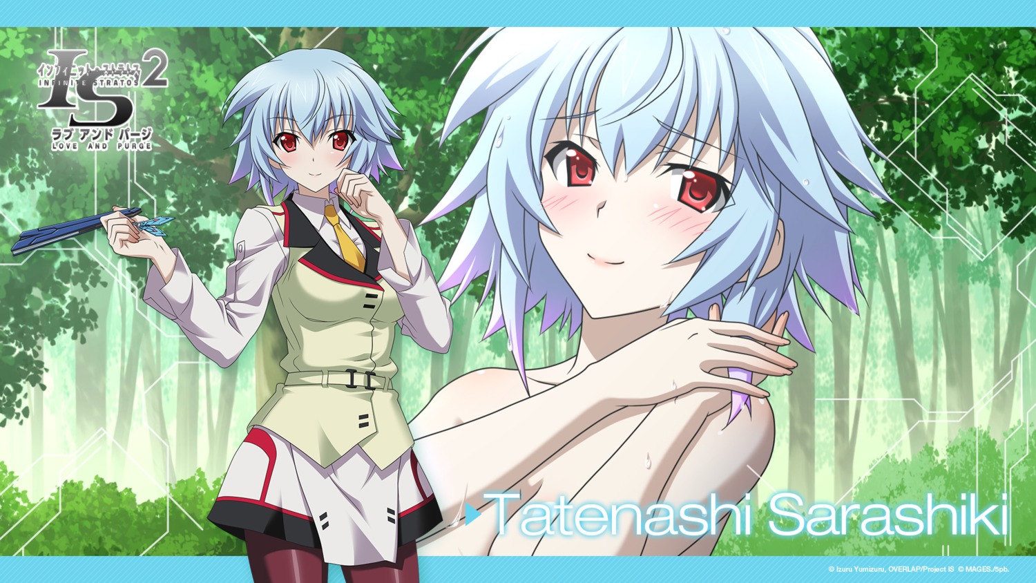 infinite_stratos, naked, pantyhose, sarashiki_tatenashi, seifuku, wallpaper