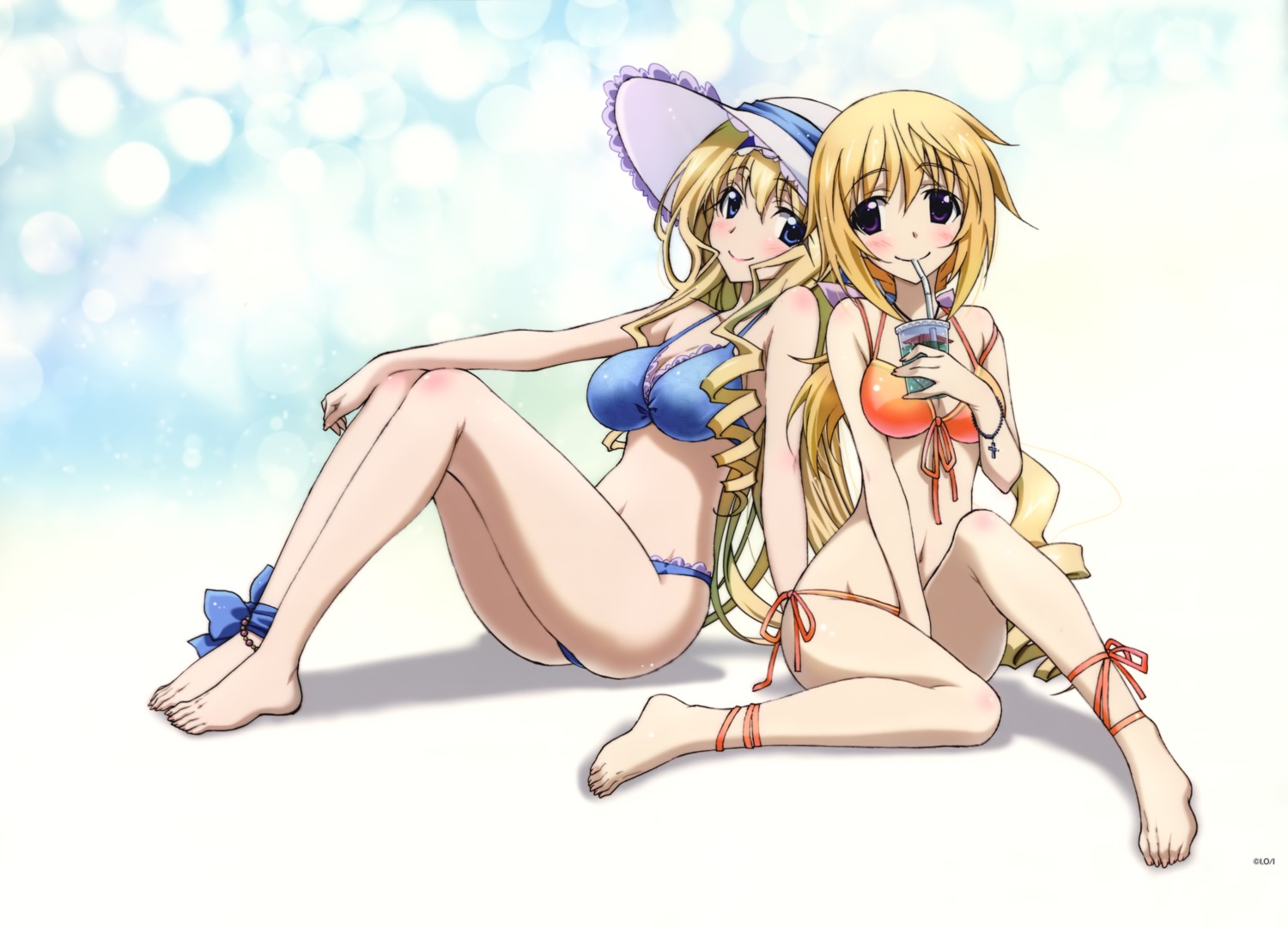 bikini, cecilia_alcott, charlotte_dunois, cleavage, horii_kumi, infinite_stratos, swimsuits