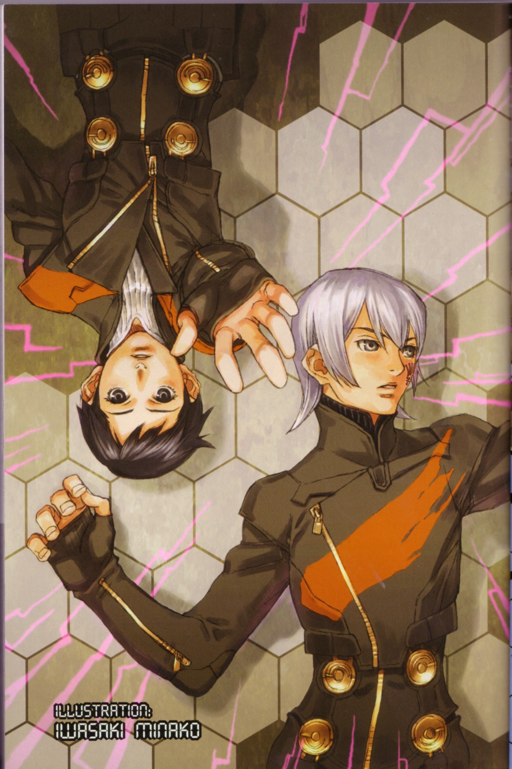 digital_devil_saga, iwasaki_minako, male, megaten