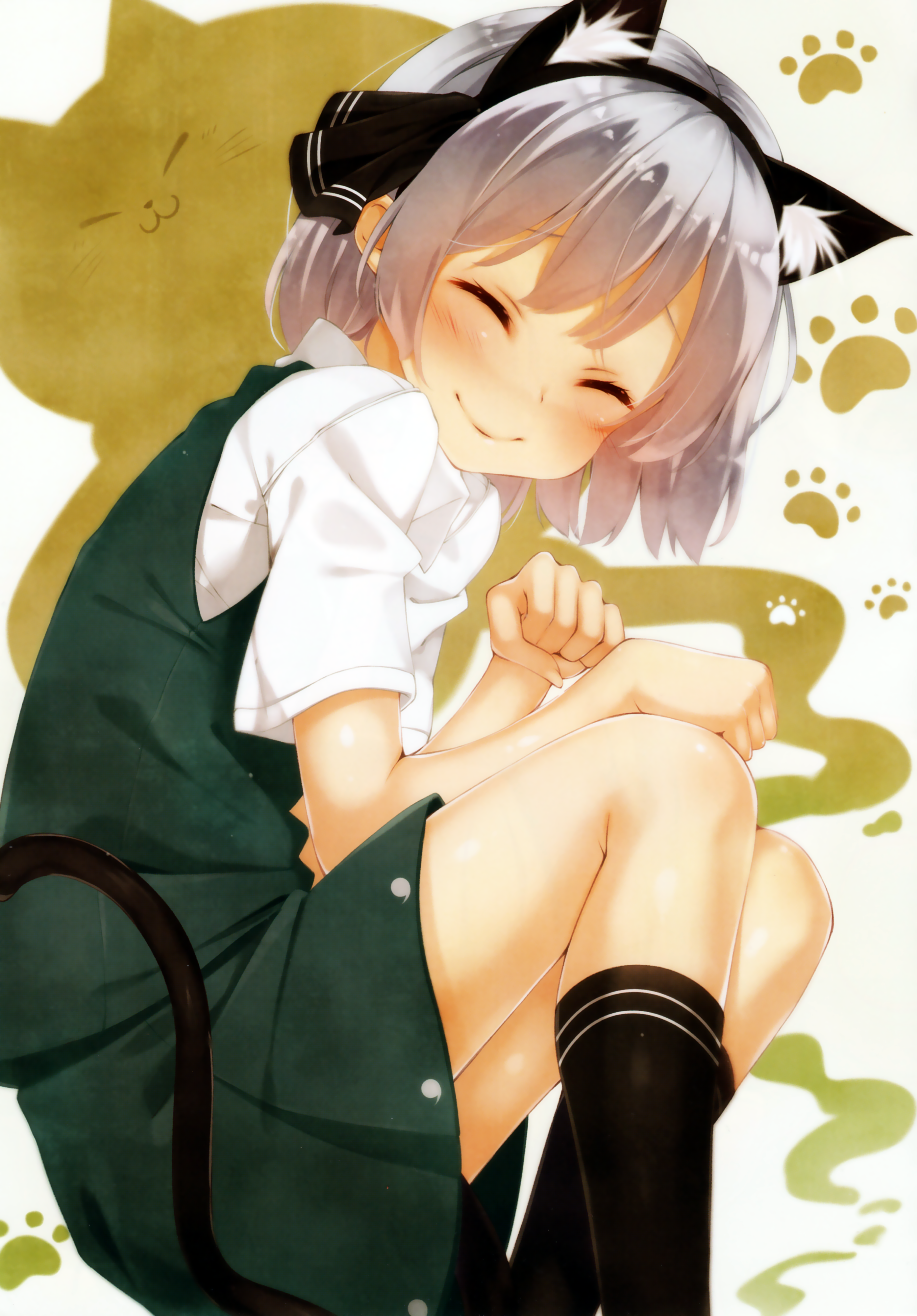 alza, animal_ears, konpaku_youmu, nekomimi, tail, touhou