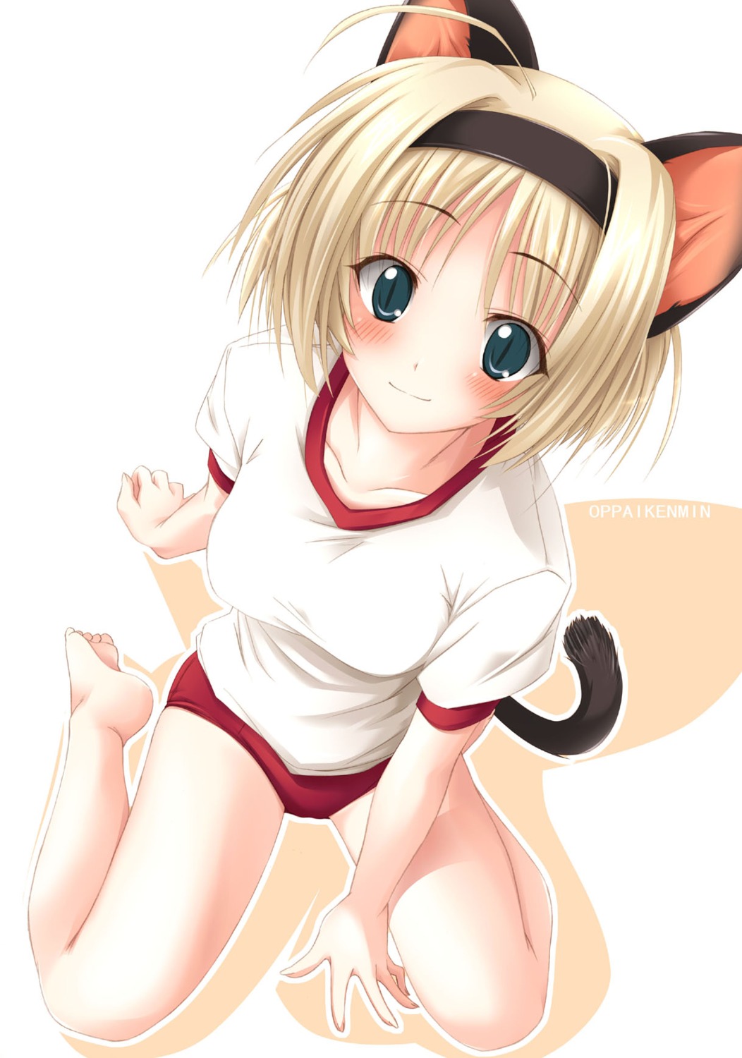 animal_ears, gym_uniform, nekomimi, oppai_kenmin