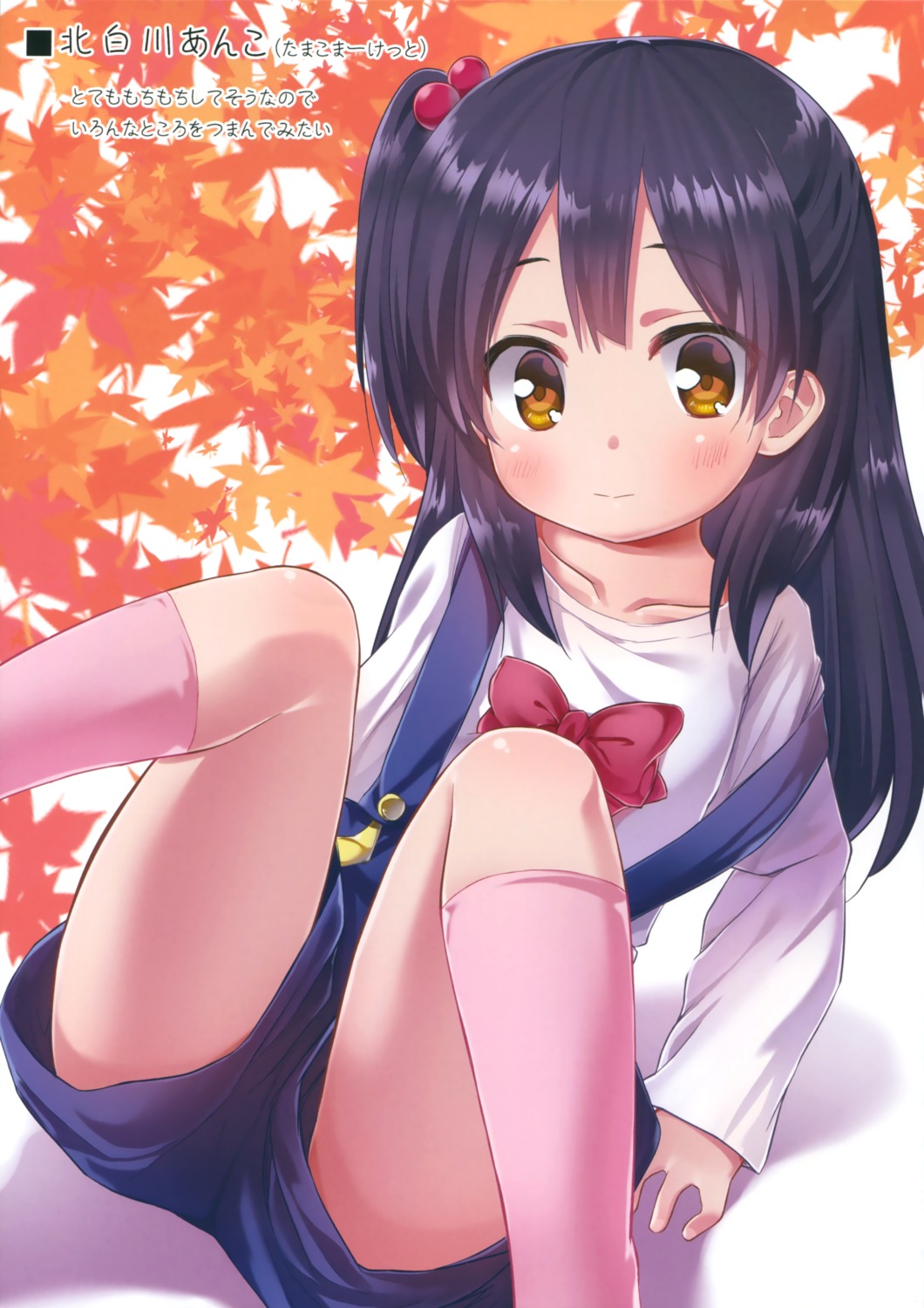 kitashirakawa_anko, noraneko_no_tama, tamako_market, yukino_minato