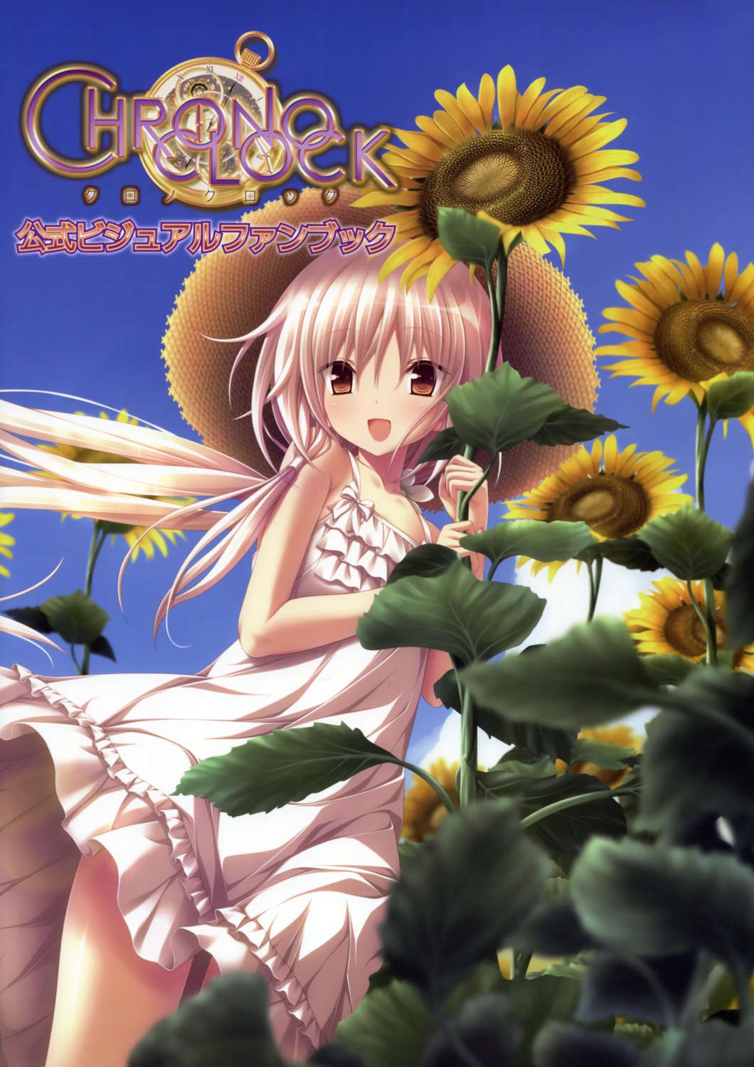 chrono_clock, dress, koku, kuro_(chrono_clock), purple_software, summer_dress