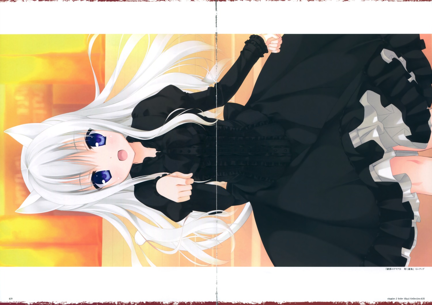 animal_ears, dress, gap, gothic_lolita, hidan_no_aria, jeanne_d'arc, jeanne_d'arc_(hidan_no_aria), kobuichi