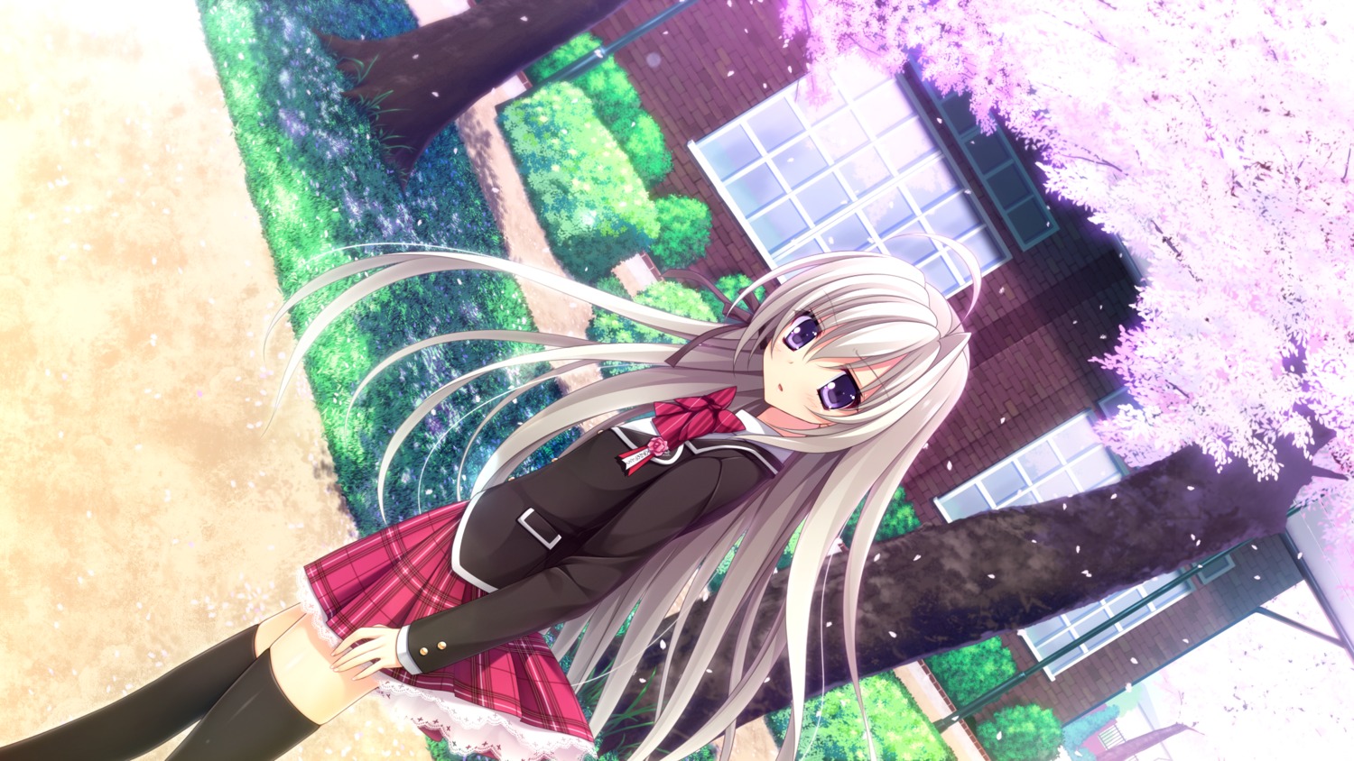 aoi_sumire, game_cg, hibiki_works, nanaroba_hana, purely_x_cation, seifuku, thighhighs