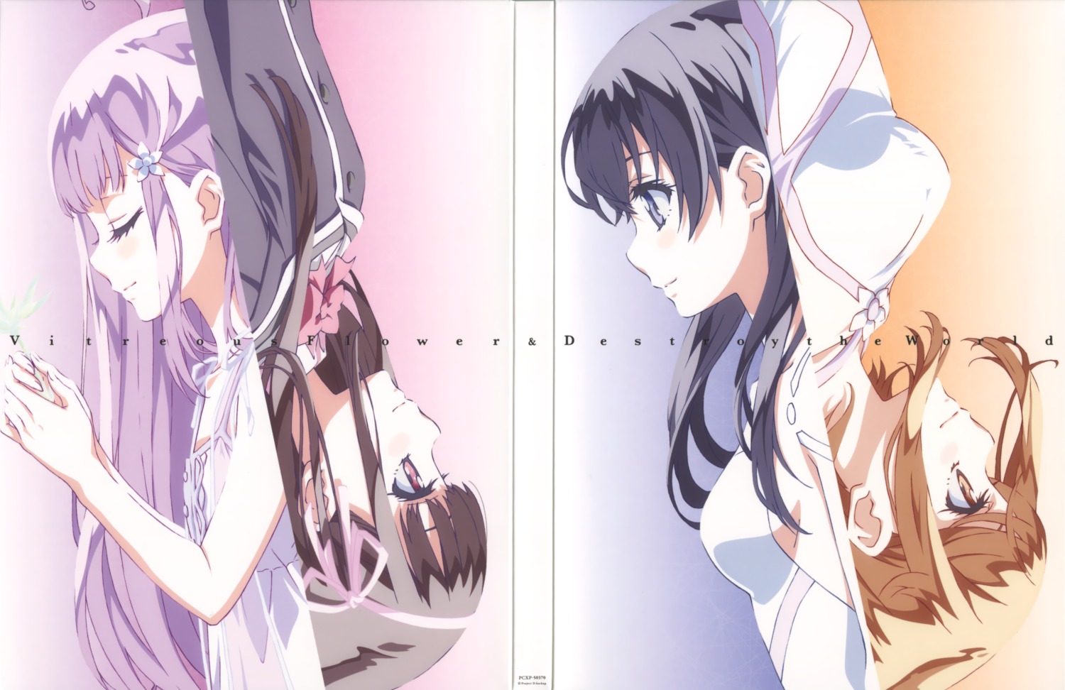 crease, disc_cover, glass_no_hana_to_kowasu_sekai, kawamura_toshie, no_bra