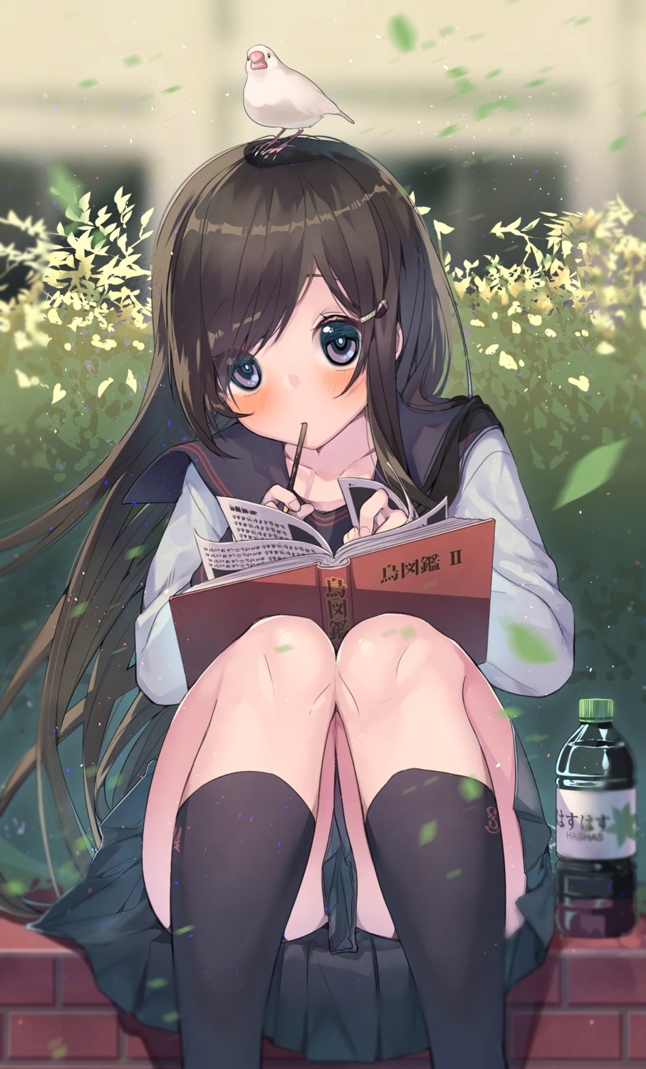 seifuku, shironboako