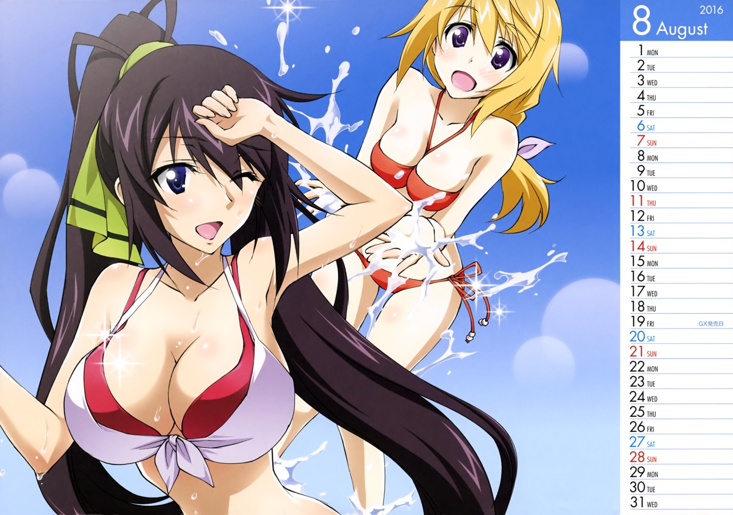 bikini, calendar, charlotte_dunois, cleavage, infinite_stratos, shinonono_houki, swimsuits, wet, yuuki_homura