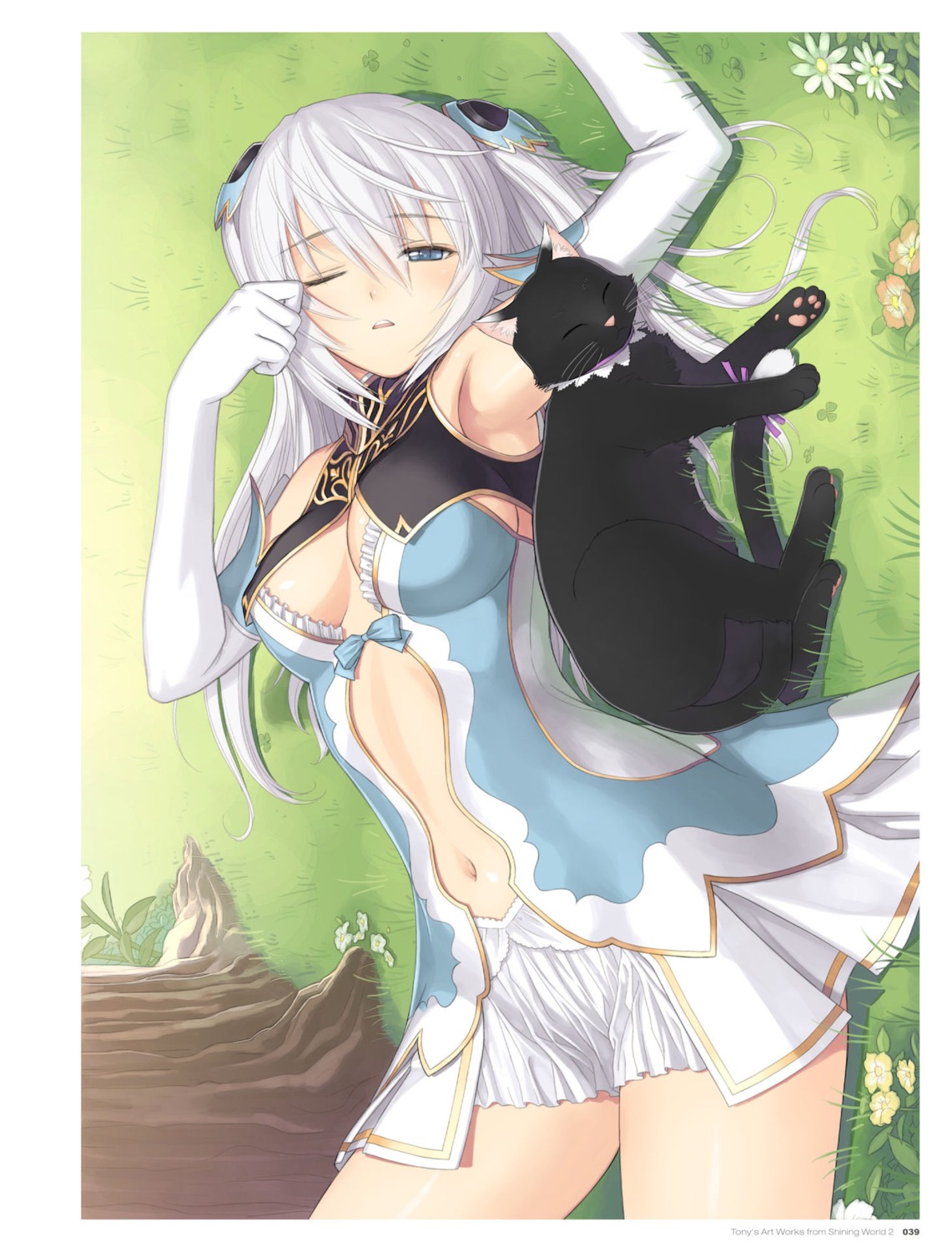 altina_mhe-re_sylphith, cleavage, digital_version, dress, ling_xiaomei, neko, no_bra, sega, shining_blade, shining_world, tony_taka