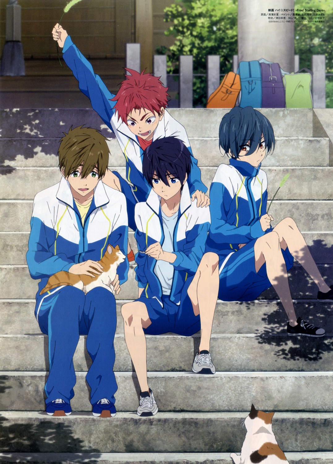 free!, high_speed!, kirishima_ikuya, male, nagahama_ayaka, nanase_haruka, neko, shiina_asahi