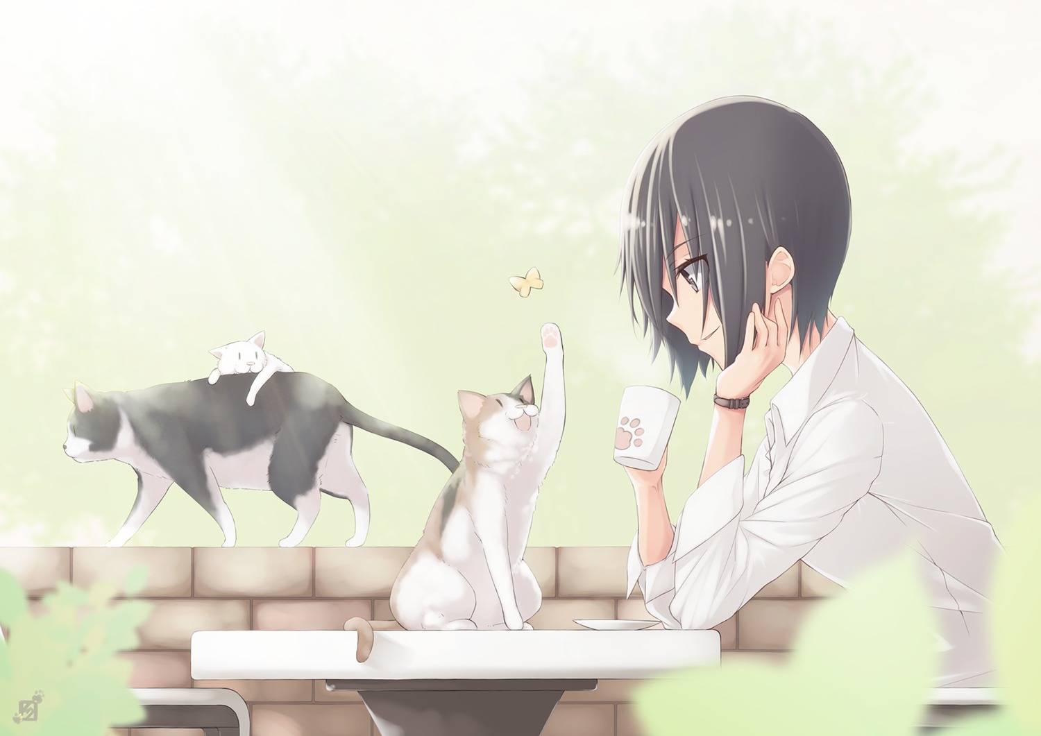 mku, neko