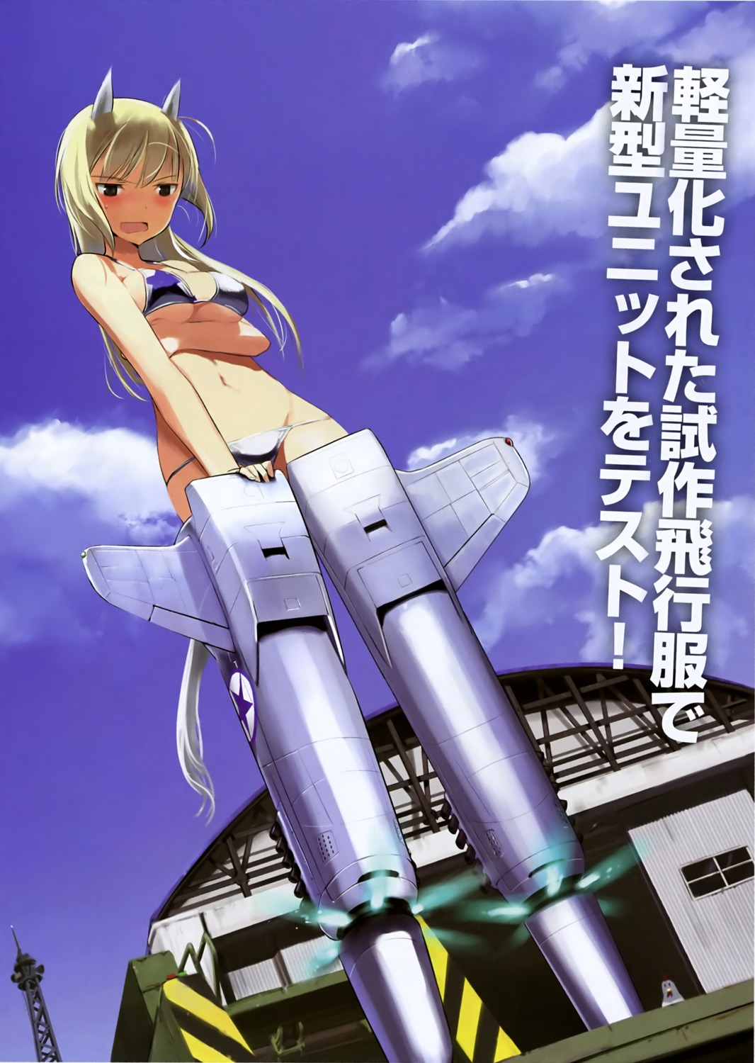 animal_ears, bikini, breast_hold, cleavage, erect_nipples, marian_e_carl, shimada_humikane, strike_witches, swimsuits, tail, underboob