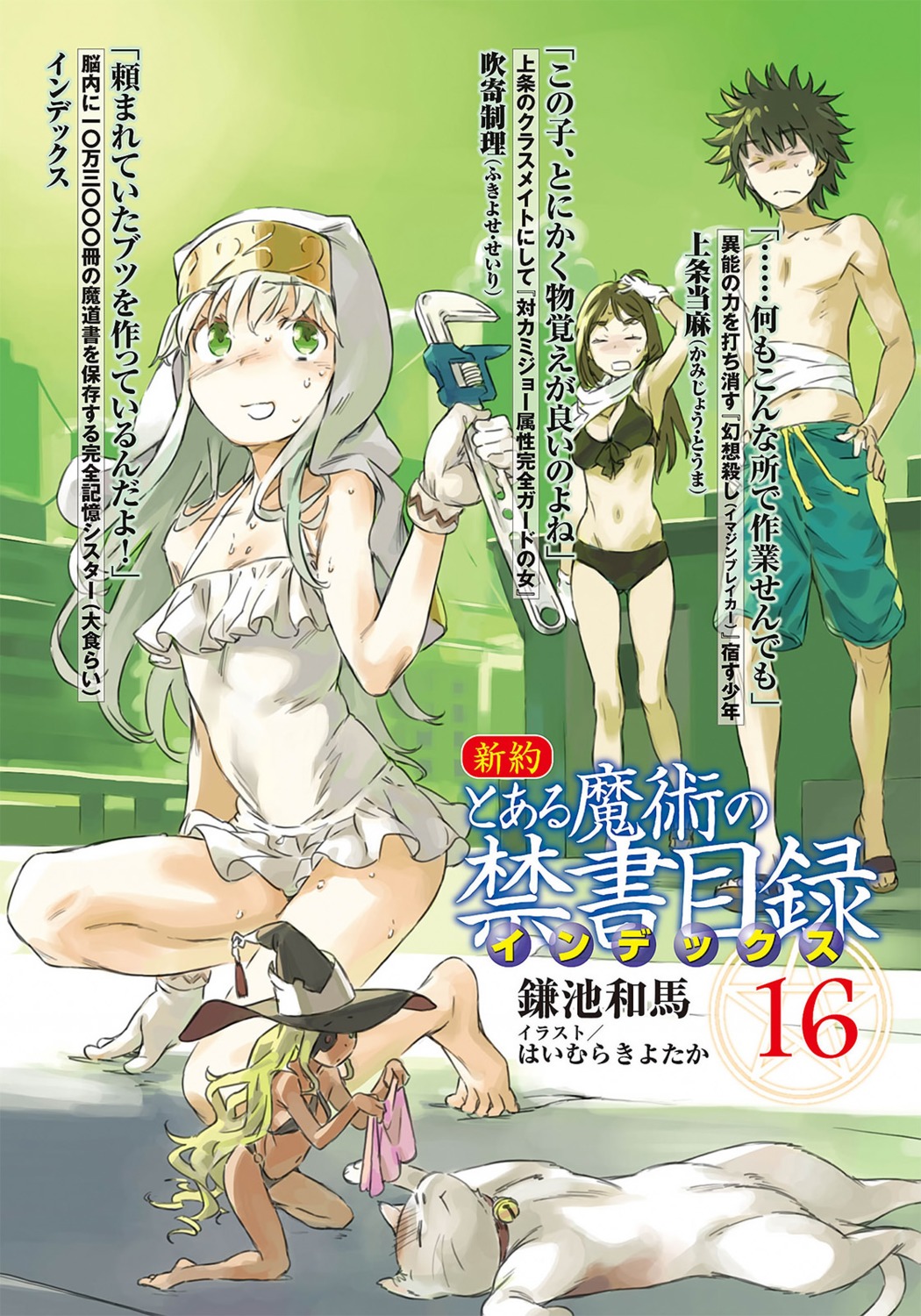 bandages, bikini, cleavage, fukiyose_seiri, haimura_kiyotaka, index, neko, shinyaku_toaru_majutsu_no_index