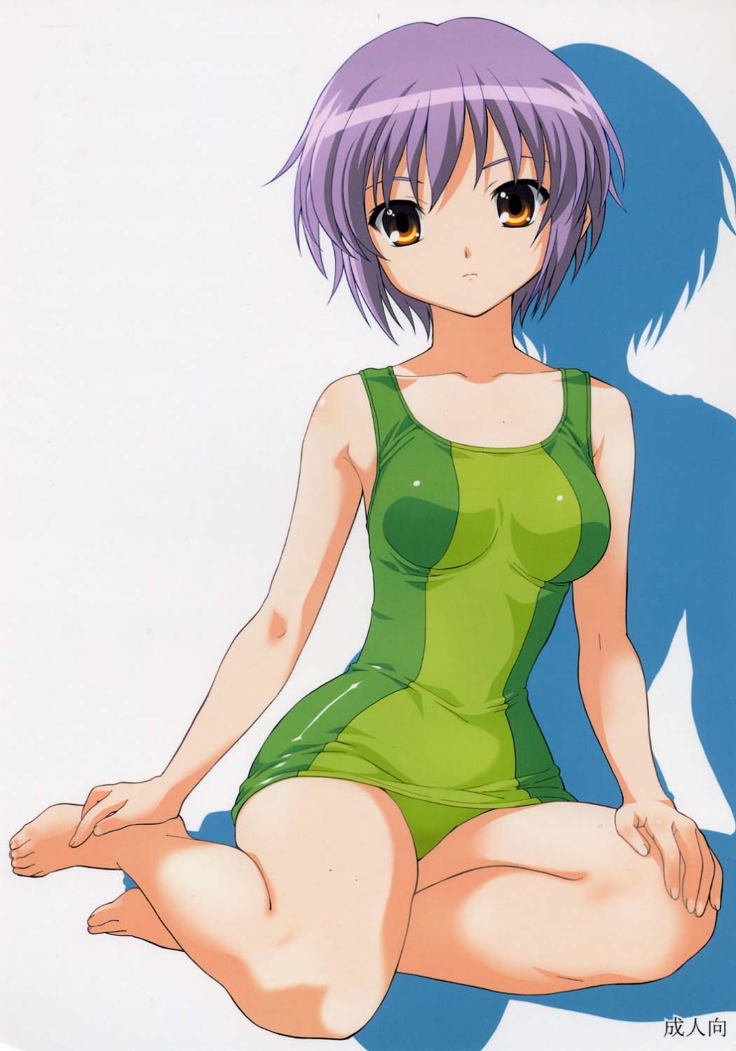 nagato_yuki, suzumiya_haruhi_no_yuuutsu, swimsuits, tim_tim_machine