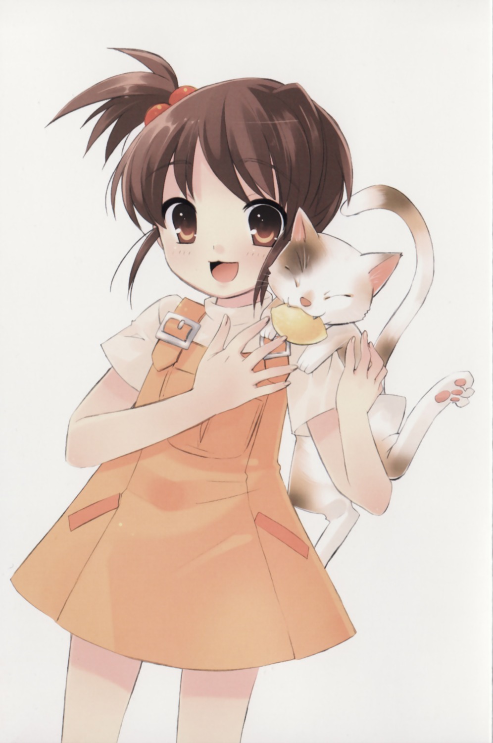 dress, ito_noizi, kyon's_sister, neko, shamisen, summer_dress, suzumiya_haruhi_no_yuuutsu