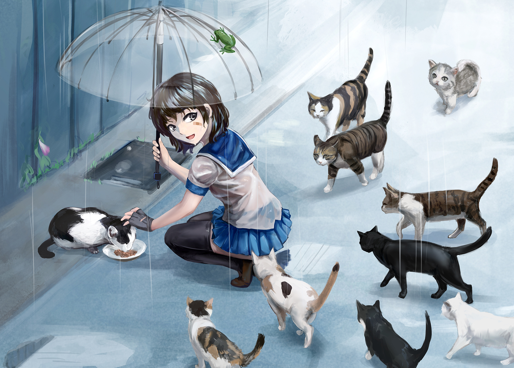 bandaid, neko, okuto_(zwindhwingf), see_through, seifuku, thighhighs, umbrella, wet, wet_clothes