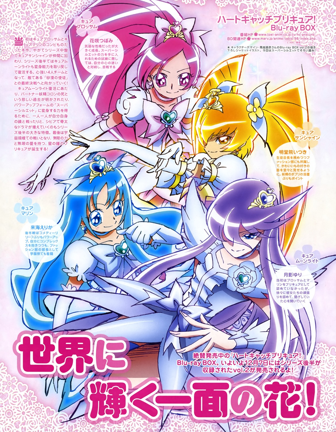 dress, hanasaki_tsubomi, heartcatch_precure!, kurumi_erika, myoudouin_itsuki, precure, tsukikage_yuri, umakoshi_yoshihiko